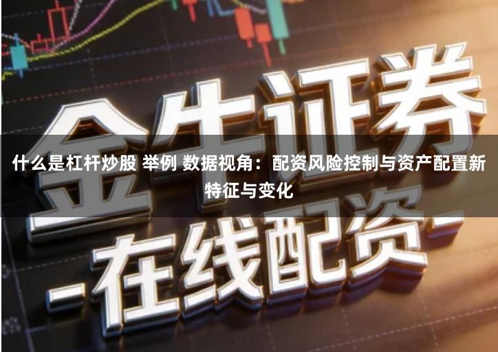 什么是杠杆炒股 举例 数据视角：配资风险控制与资产配置新特征与变化