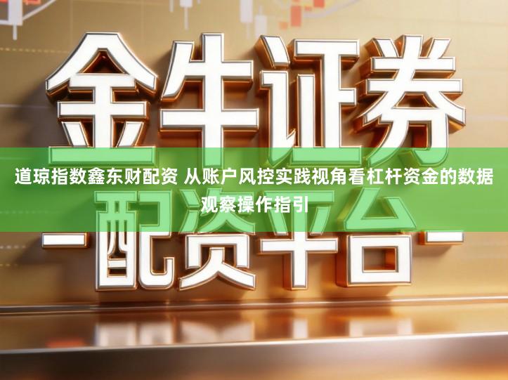 道琼指数鑫东财配资 从账户风控实践视角看杠杆资金的数据观察操作指引